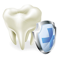 tooth with shield protection